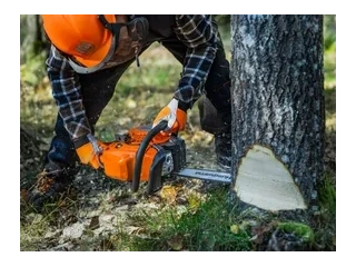 2026 Husqvarna 445S 445S alt