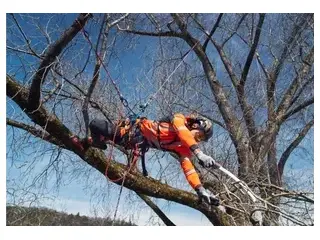2026 Husqvarna Climbing harness