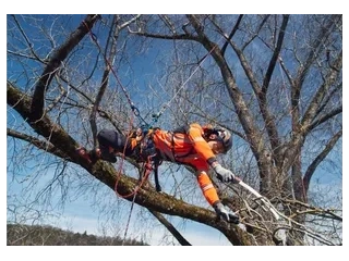 Husqvarna Climbing harness Climbing harness 2026 alt