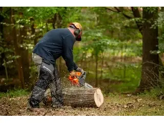Husqvarna 445S 2026