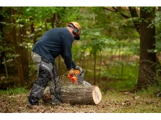 2026 Husqvarna 445S 445S alt