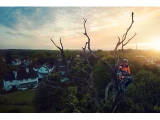 Husqvarna T540i XPMD avec batterie et chargeur T540i XPMD avec batterie et chargeur 2026 alt