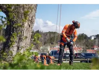 Husqvarna T535i XP® 2026