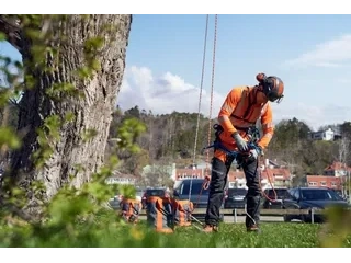Husqvarna T535i XP® T535i XP® 2026 alt
