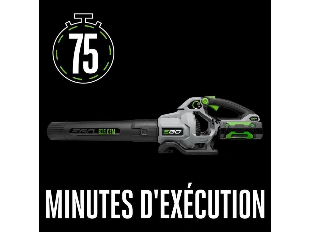 EGO Kit d’outils assortis avec taille-bordure POWER+ POWERLOAD™ de 15 po avec arbre télescopique en aluminium et souffleuse de 615 pi<sup>3</sup>/min ST6151LB Kit d’outils assortis avec taille-bordure POWER+ POWERLOAD™ de 15 po avec arbre télescopique en aluminium et souffleuse de 615 pi<sup>3</sup>/min ST6151LB 2026 alt