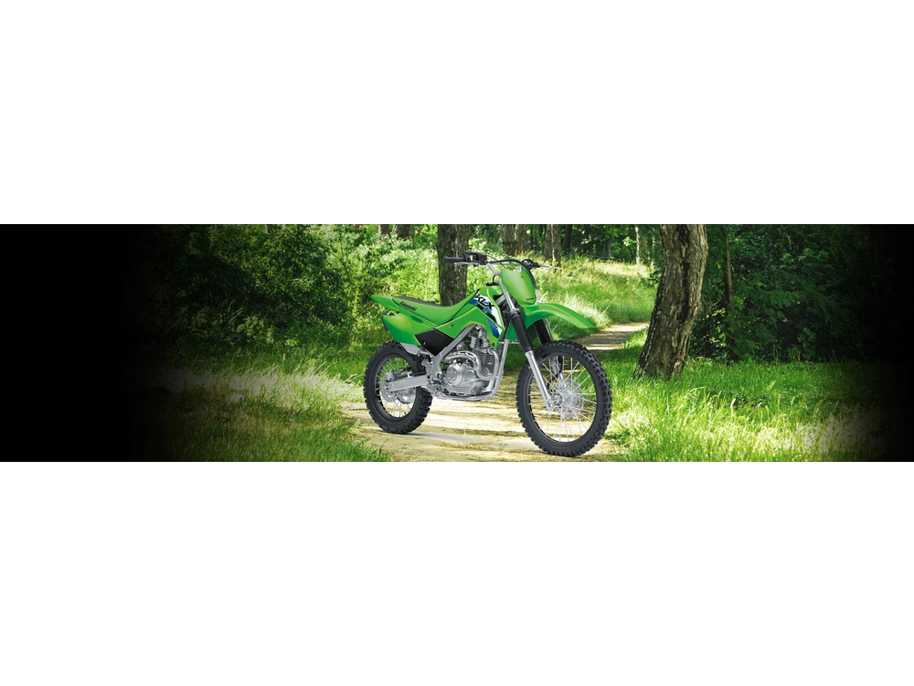Kawasaki KLX140R KLX140R L 2027 alt