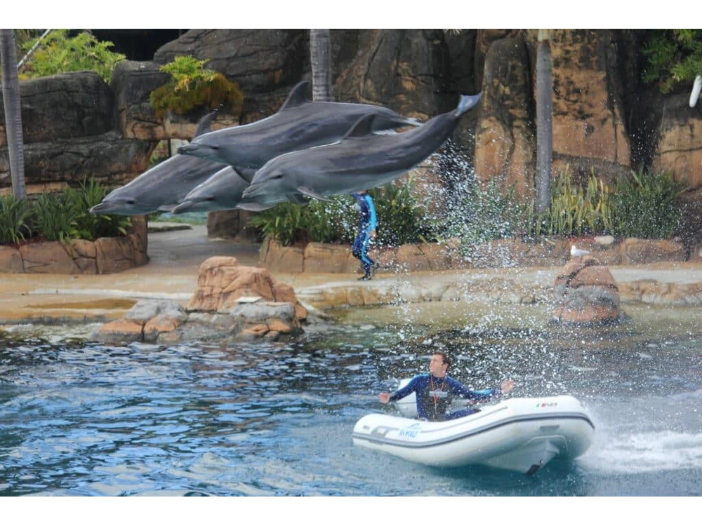 2026 AB Inflatables Ventus 12 VL alt