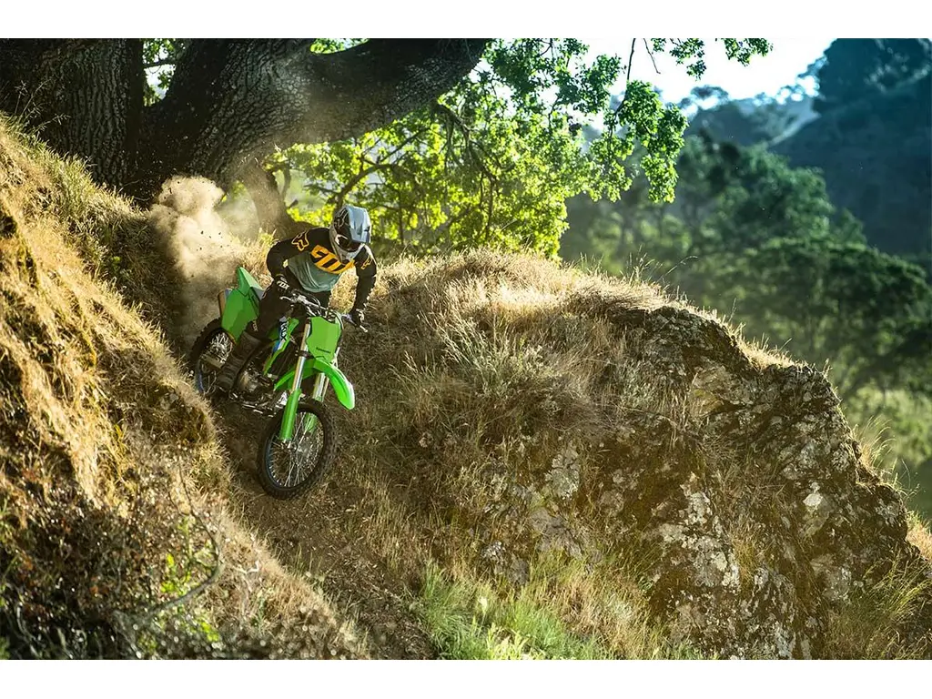 Kawasaki KLX300R Vert lime 2027