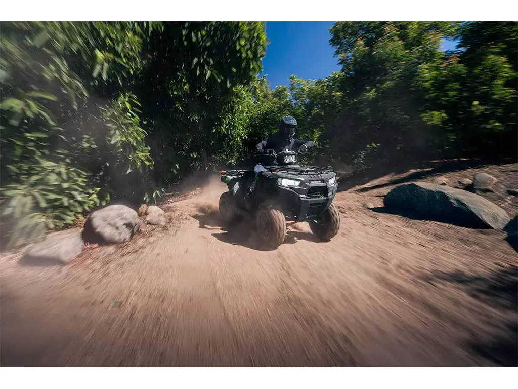 Kawasaki BRUTE FORCE 300 Gris fumé 2027