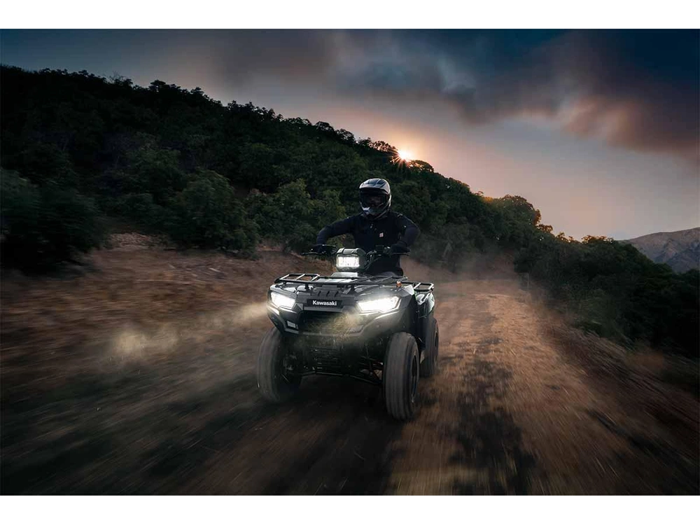Kawasaki BRUTE FORCE 300 BRUTE FORCE 300 Gris fumé 2027 alt