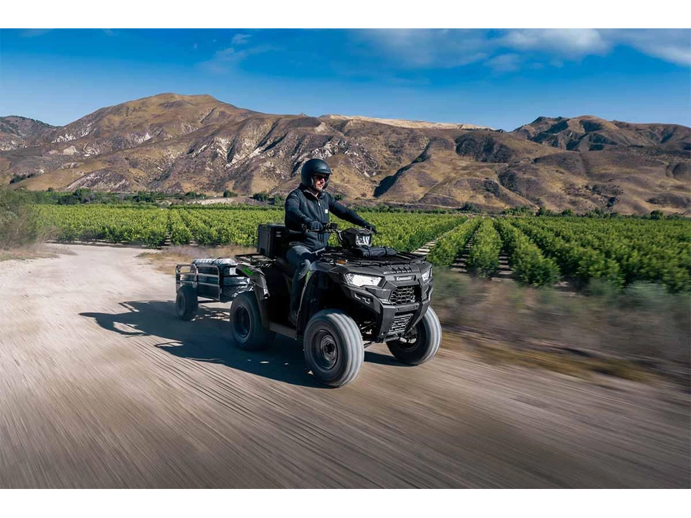 Kawasaki BRUTE FORCE 300 BRUTE FORCE 300 Gris fumé 2027 alt