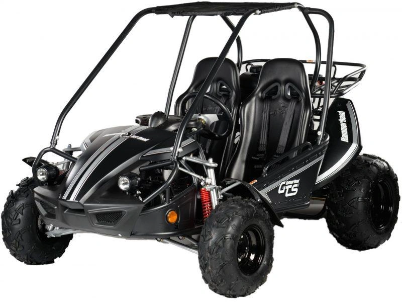 2026 Hammerhead Off-Road GTS 150 GTS 150 alt