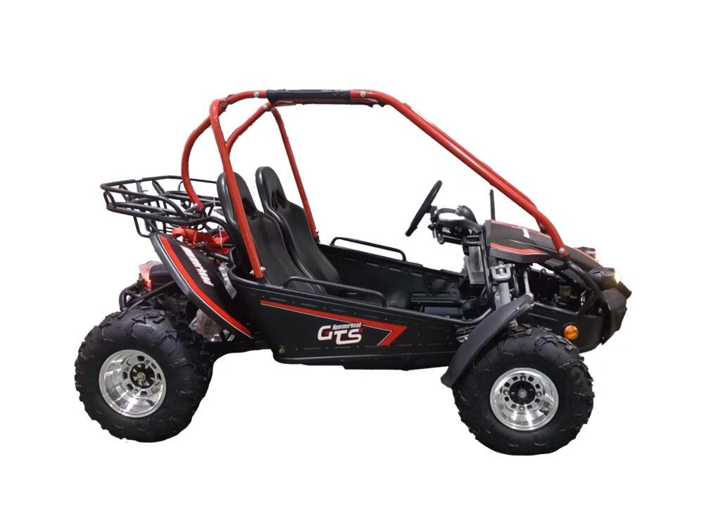 2026 Hammerhead Off-Road GTS Platinum GTS Platinum alt