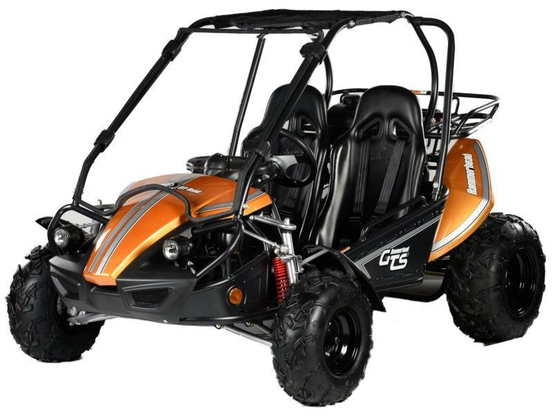 2026 Hammerhead Off-Road GTS 150 GTS 150 alt