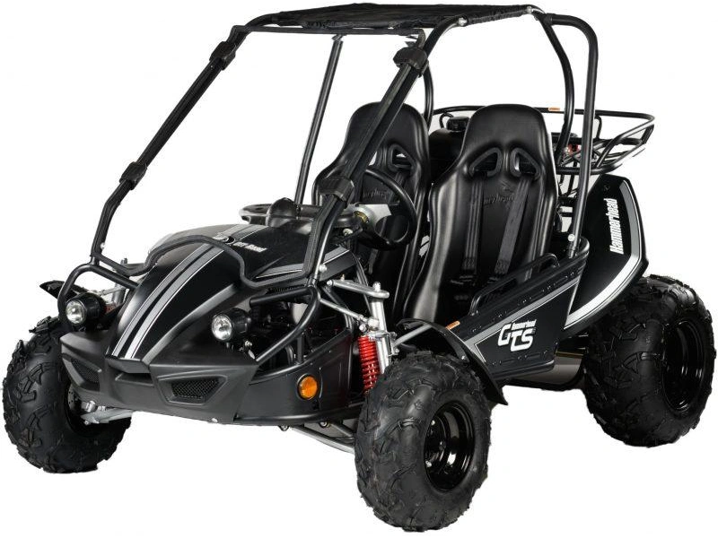 2026 Hammerhead Off-Road GTS 150 GTS 150 alt