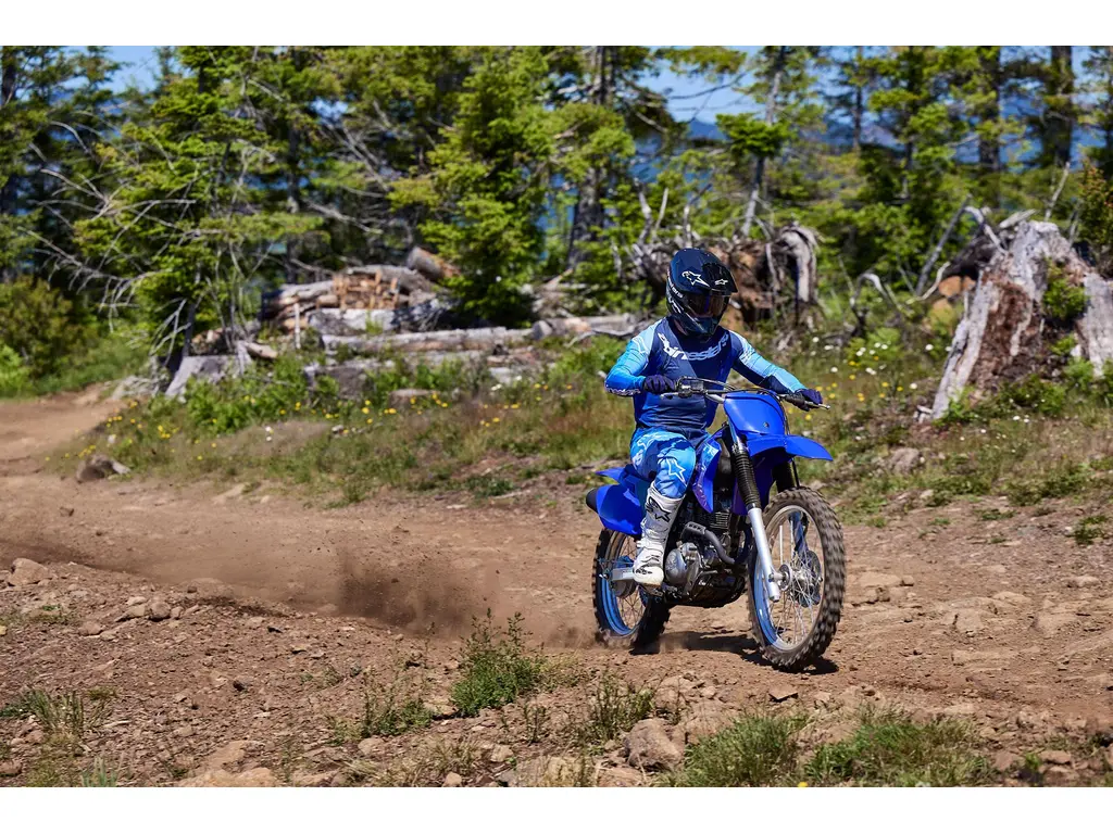 Yamaha TT-R 230 Bleu Team Yamaha 2027