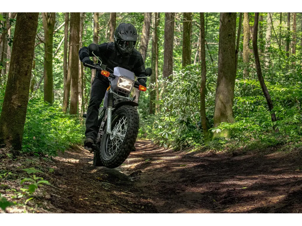 Yamaha TW200 Gris Radical 2027
