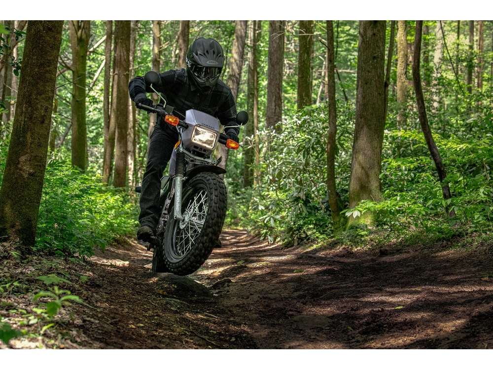 Yamaha TW200 TW200 Gris Radical 2027 alt