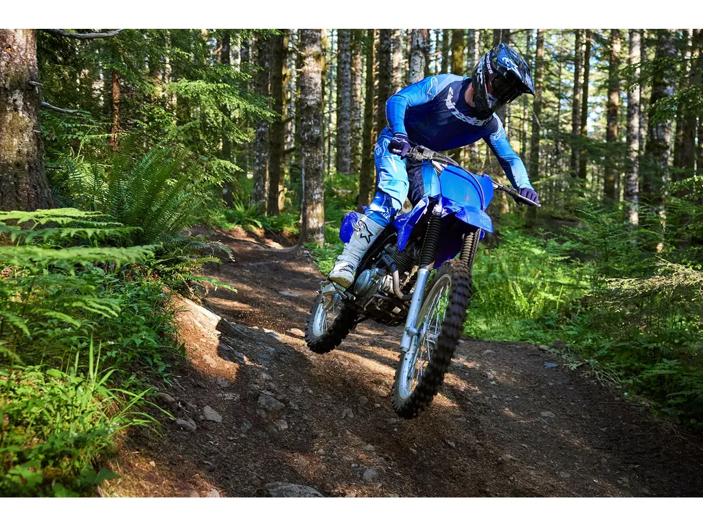 Yamaha TT-R 230 Bleu Team Yamaha 2027