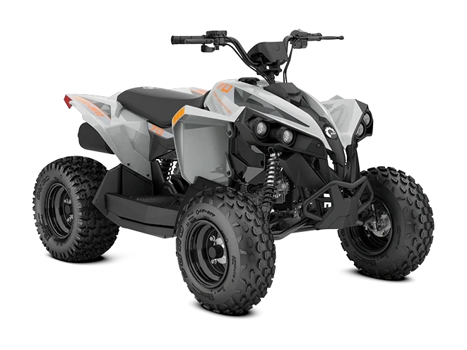Can-Am Renegade EFI Renegade 70 EFI Gris catalyst 70 2027 alt