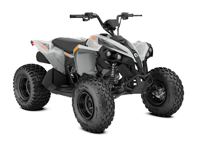 Can-Am Renegade 110 EFI 110 Gris catalyst 2027