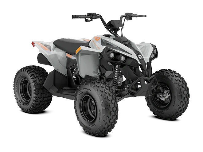Can-Am Renegade EFI Renegade 110 EFI Gris catalyst 110 2027 alt