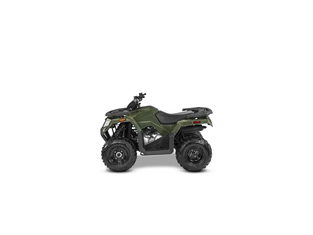 Arctic Cat Alterra 300 Alterra 300 Marsh Green 2027 alt