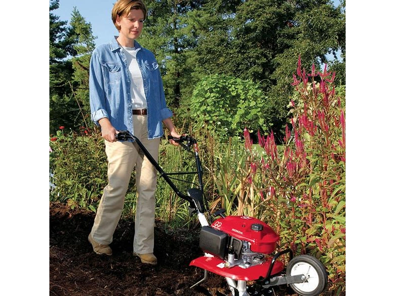 2026 Honda F220 F220AN