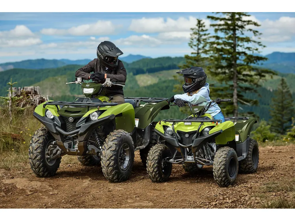 Yamaha GRIZZLY 110 gris blindé 2027