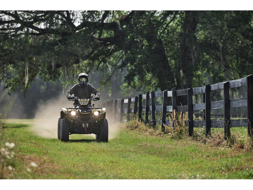 Yamaha KODIAK 450 EPS XT-R KODIAK 450 EPS XT-R beige automnal/Realtree Edge 2027 alt