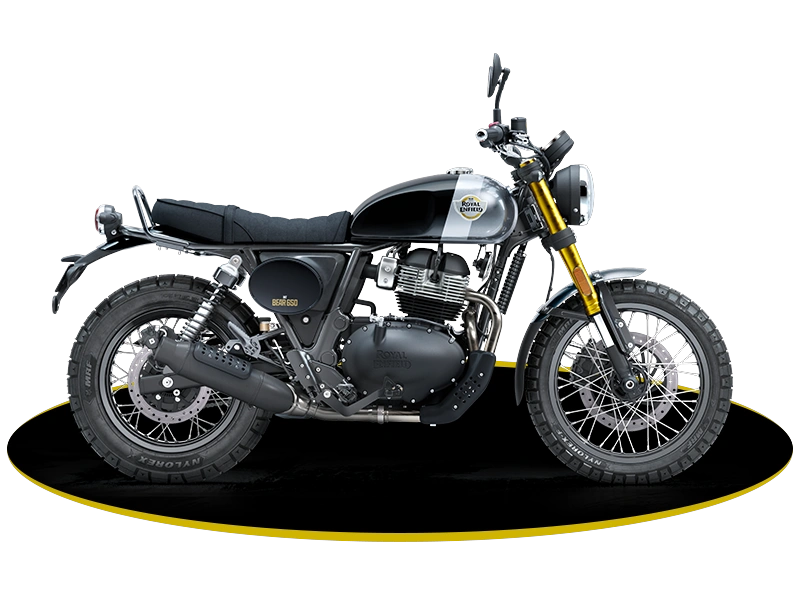 2026 Royal Enfield The Bear 650 The Bear 650 Golden Shadow