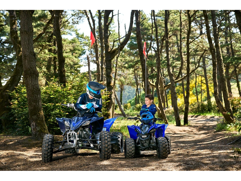 Yamaha YFZ50 YFZ50 Vert acide 2027 alt