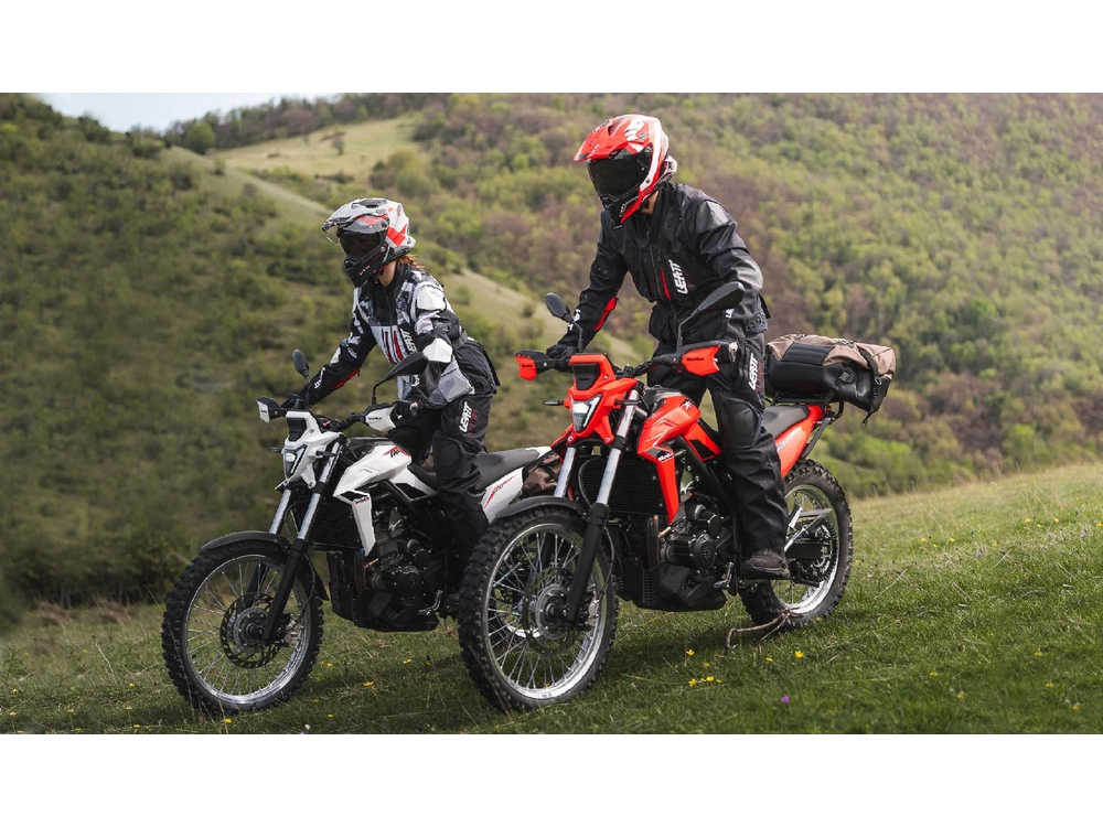 2026 Beta ALP ALP X
