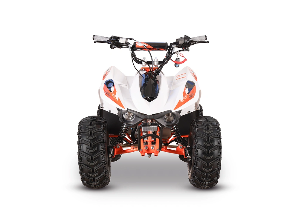 2026 Kayo Storm Storm 70 SOHC 4-stroke