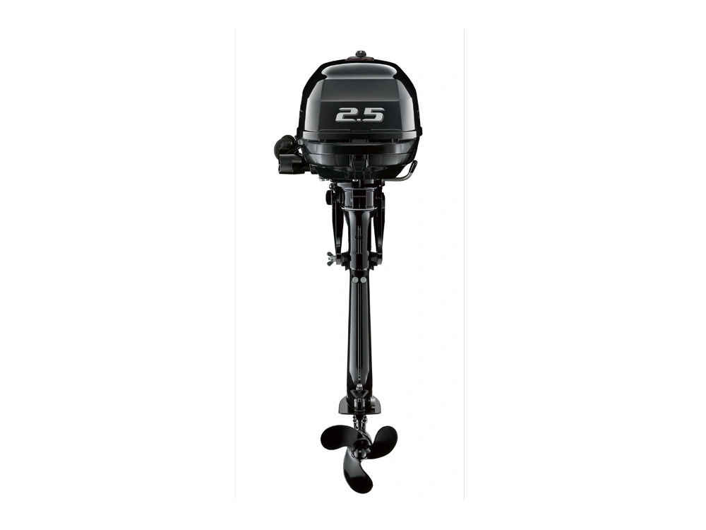 Suzuki DF2.5 DF2.5 2026 alt