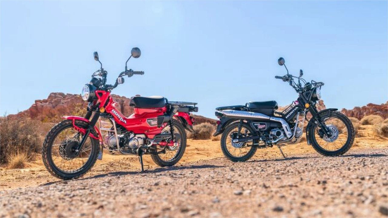 duo de motos minitrail Honda