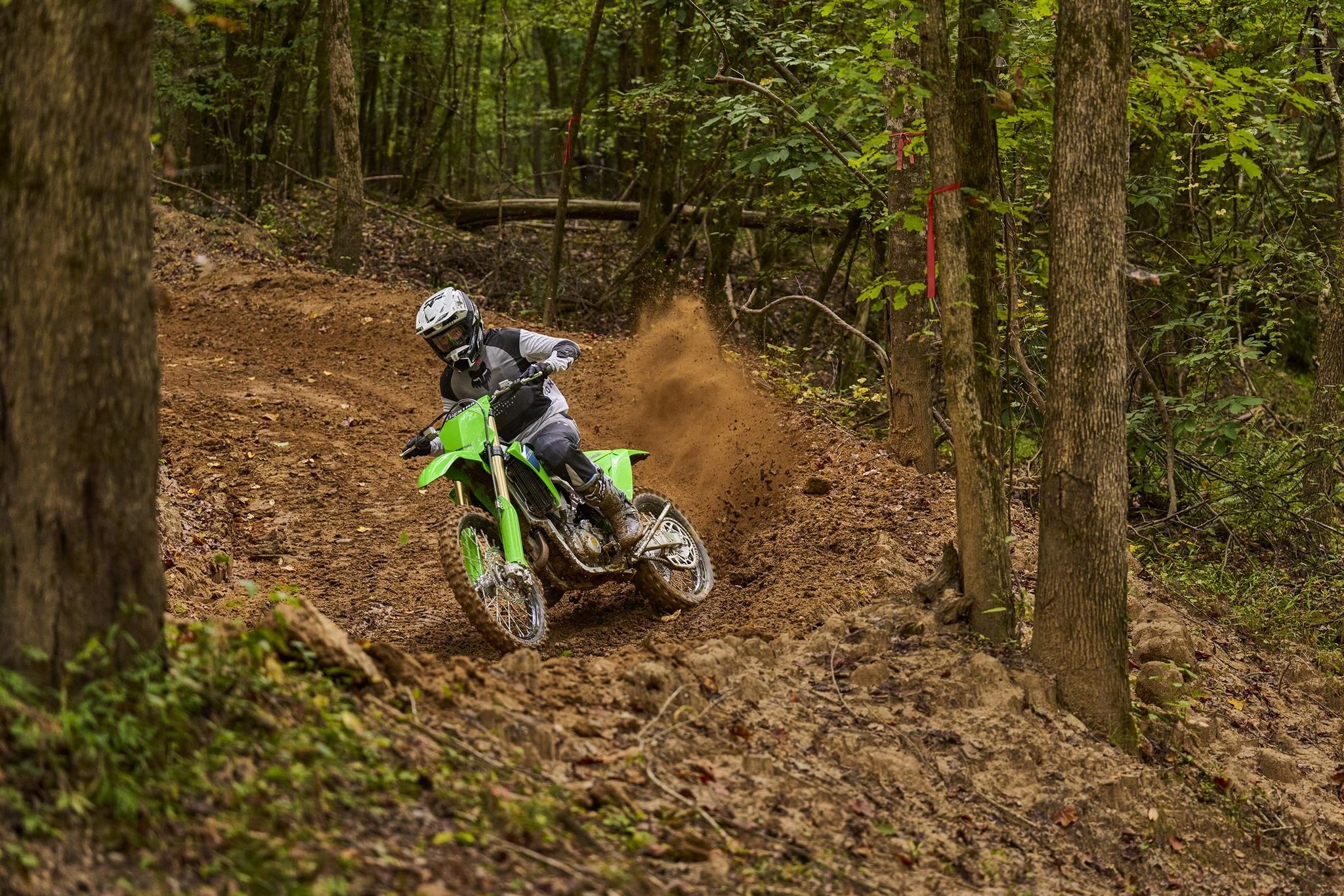 Kawasaki Dealer Brantford