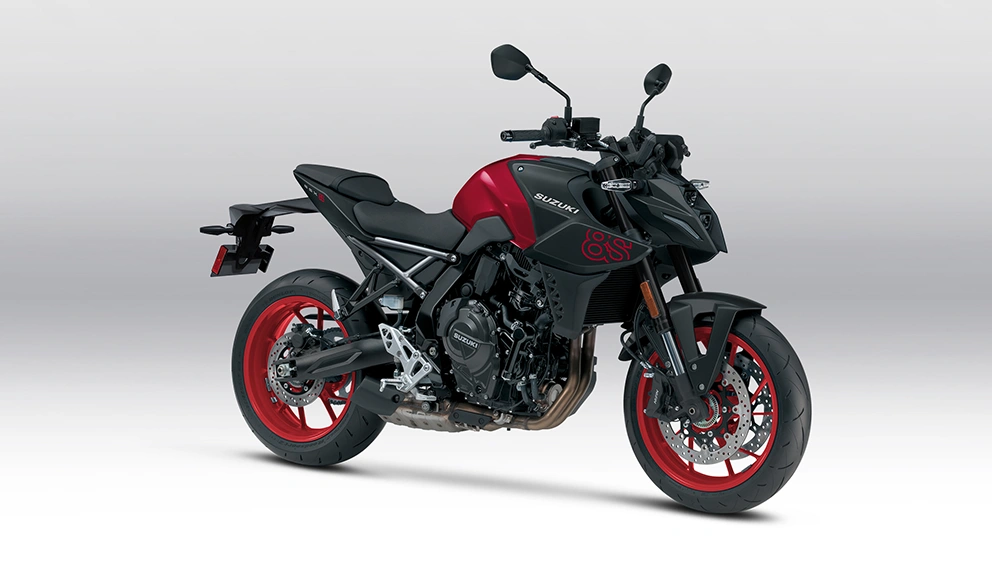 View of the Suzuki GSX-8S on the side of the road