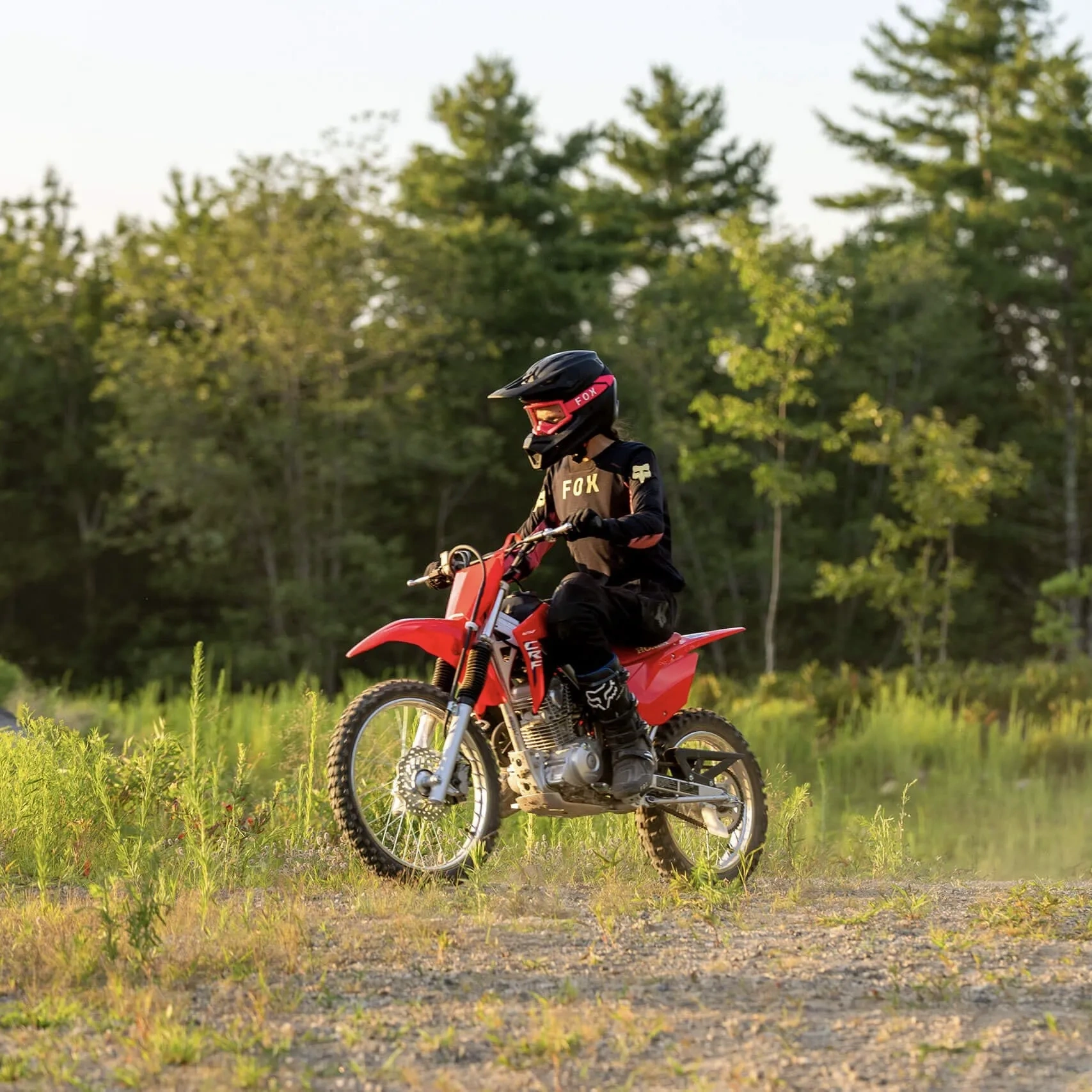 Jeune pilote sur une Honda CRF125F rouge en forêt.