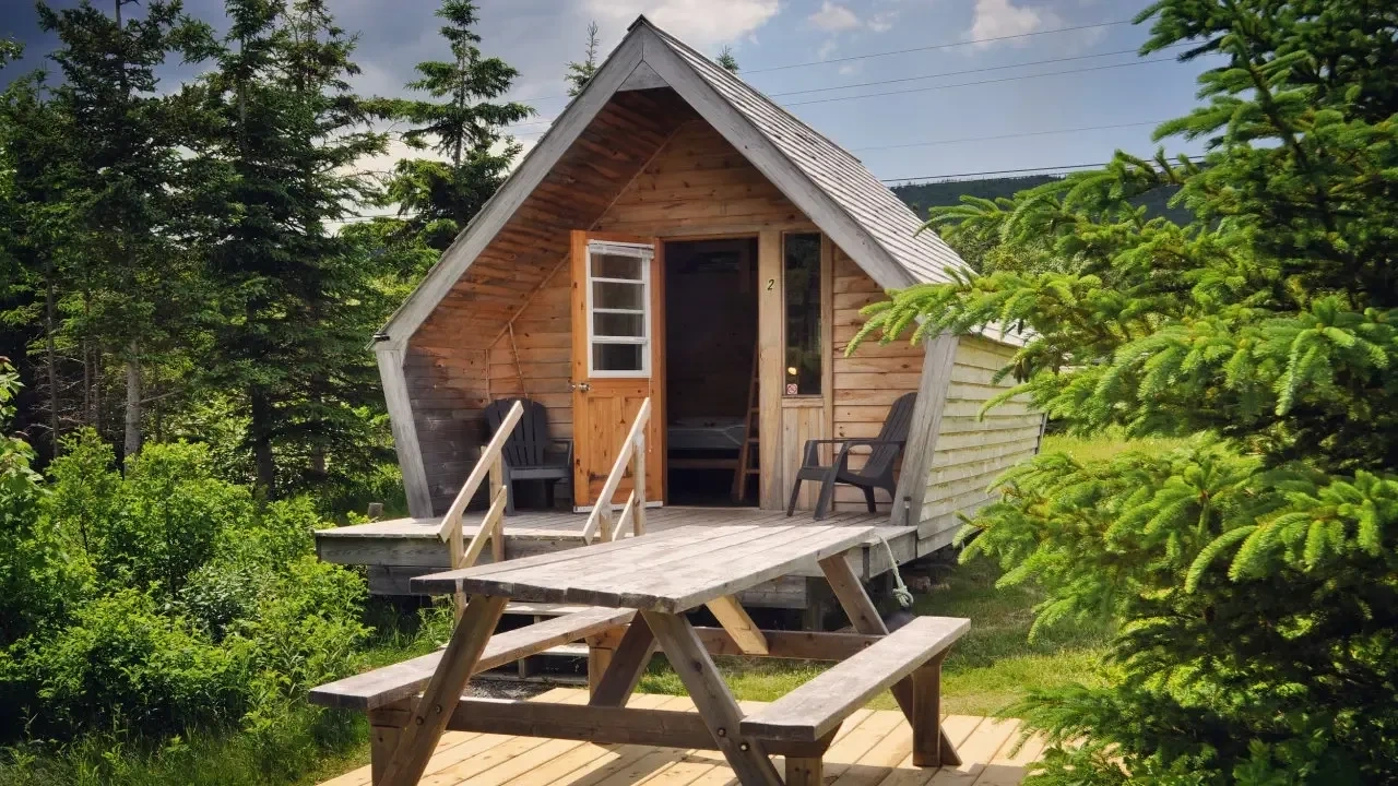 The Zzzz Moose Campground (Cabot Trail)