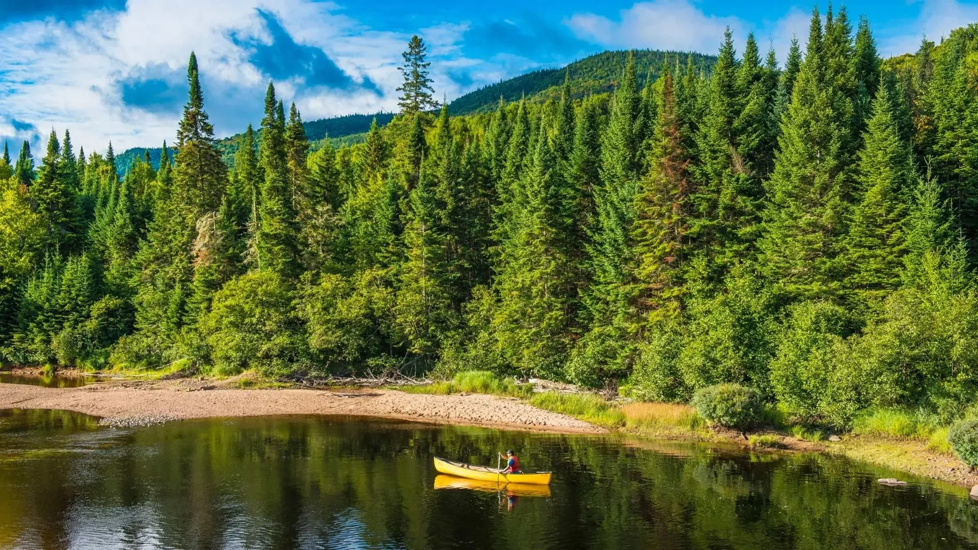 Parc national du Mont-Tremblant