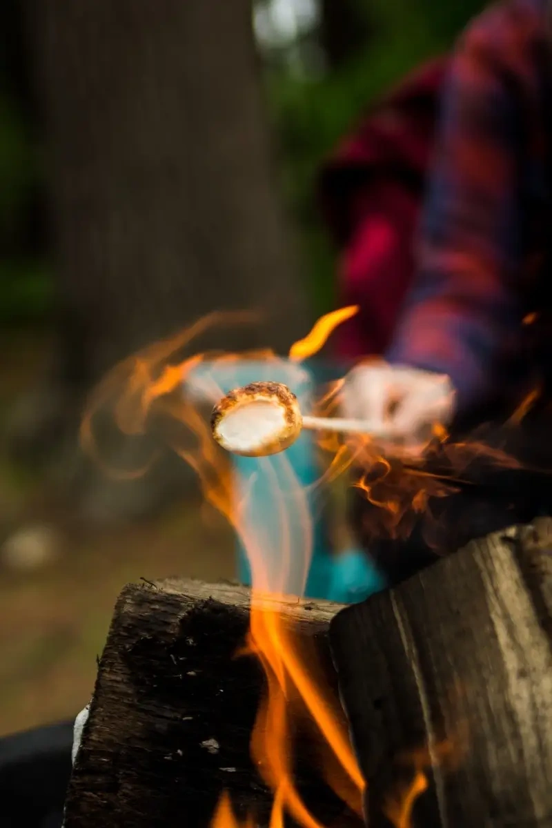 Vue d'une flamme d'un feu de camp