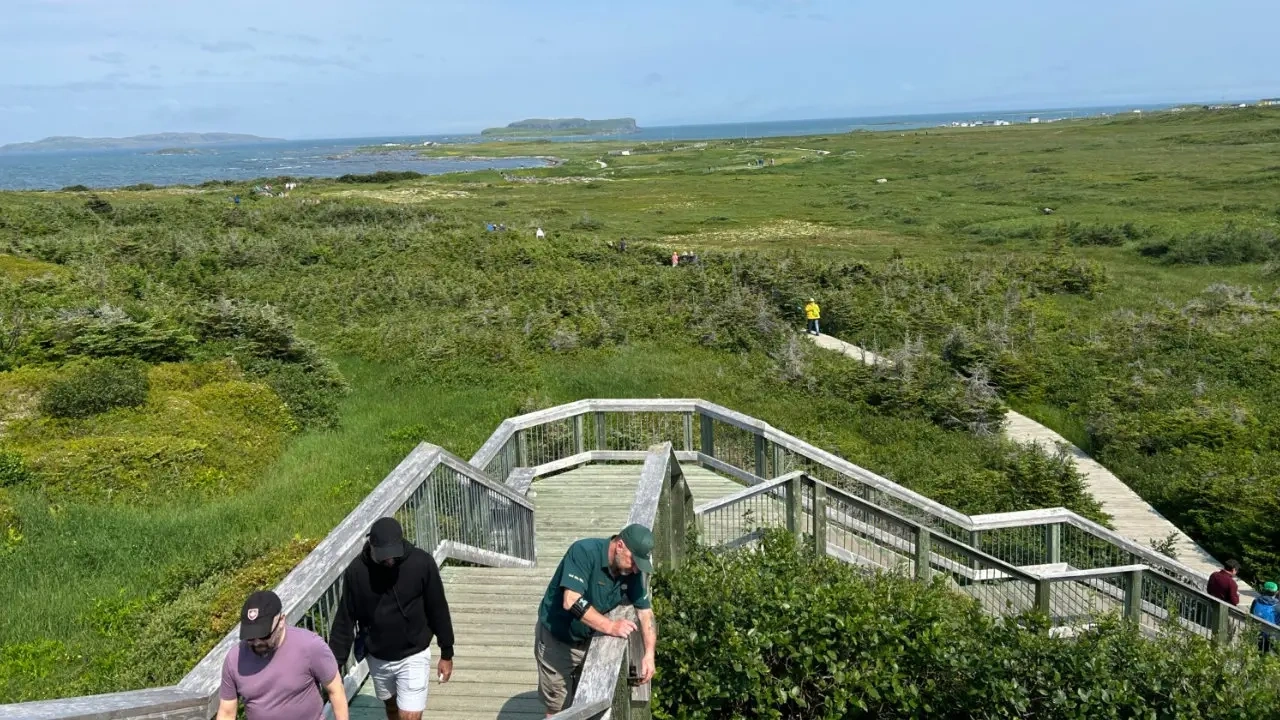 vue d'un parc à L'anse aux Meadows