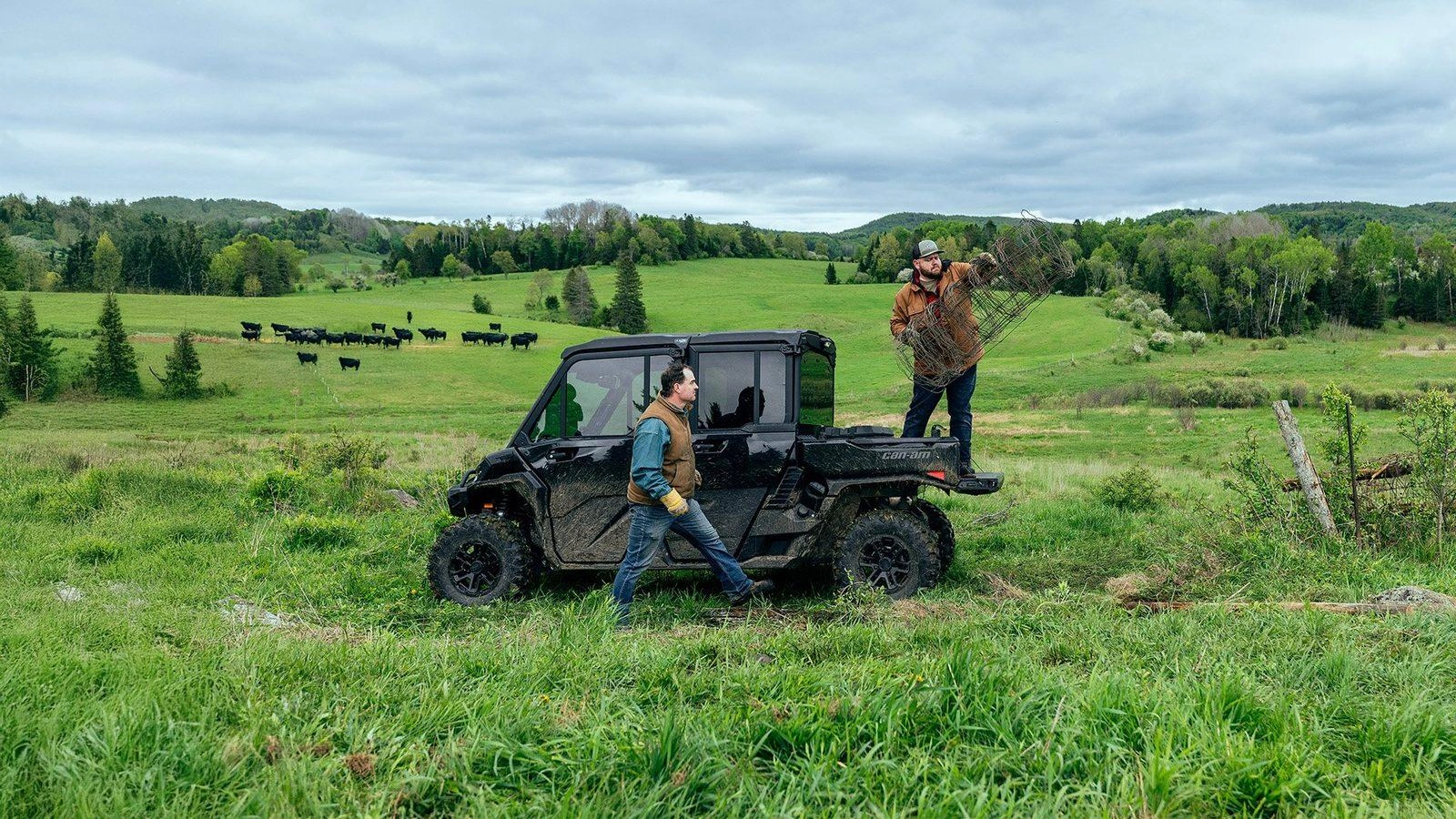 Farmers working beside a Can-Am Defender with a cab in a cattle pasture