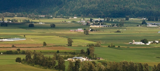 Fall in the Fraser Valley