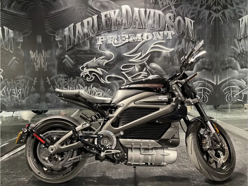 2020 Harley-Davidson ELWLIVE WIRE / ELECTRIQUE