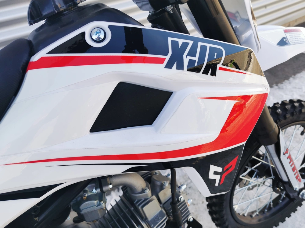 Pitsterpro Xjr 125 ** Aucun Frais Caché ** 2021 alt