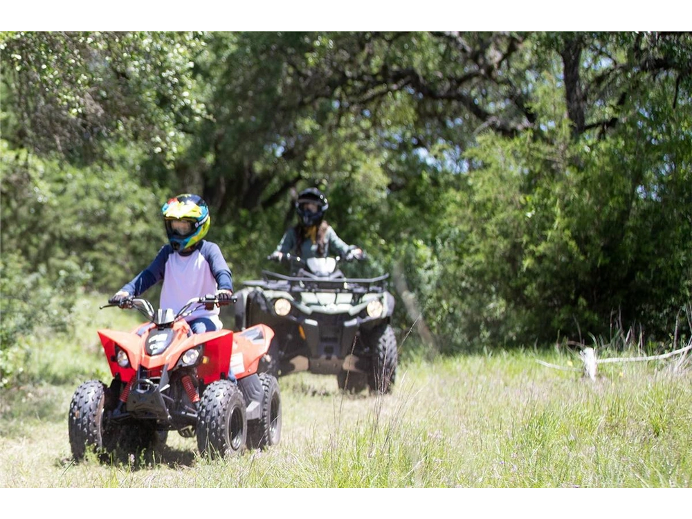 2020 Can-am Ds 90™ alt