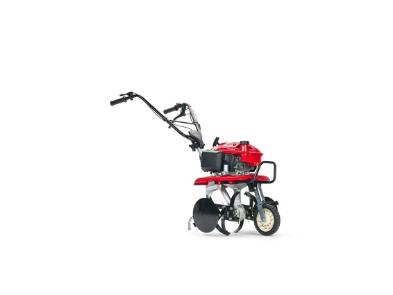 Honda F 220 2025 alt