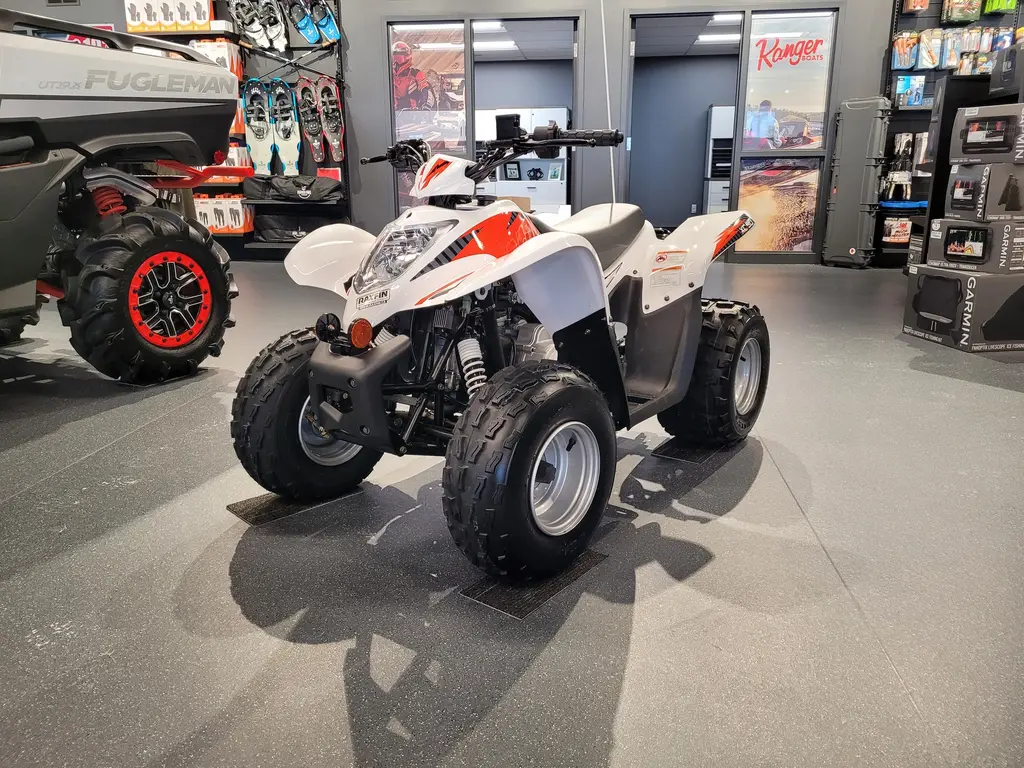 2022 Argo XPLORER XC 90 2X4 